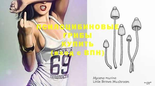 mix Касимов