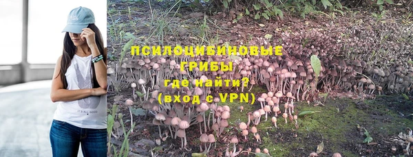 ГАЛЛЮЦИНОГЕННЫЕ ГРИБЫ Карпинск
