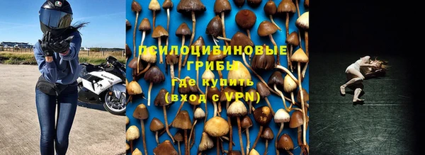 mix Касимов